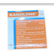 คาโนโลน 1กรัม(ยาทาแผลในปาก) KANOLONE oral paste 1g